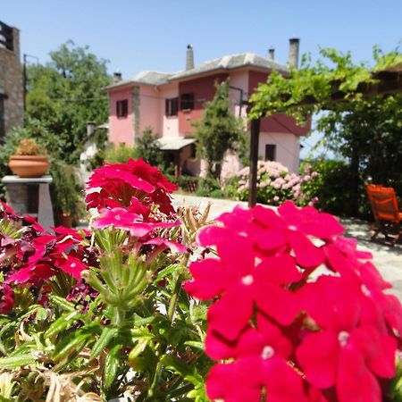 Guesthouse Iris Tsagarada Bagian luar foto