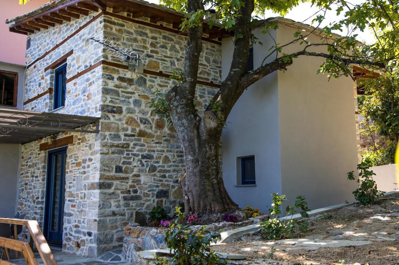 Guesthouse Iris Tsagarada Bagian luar foto