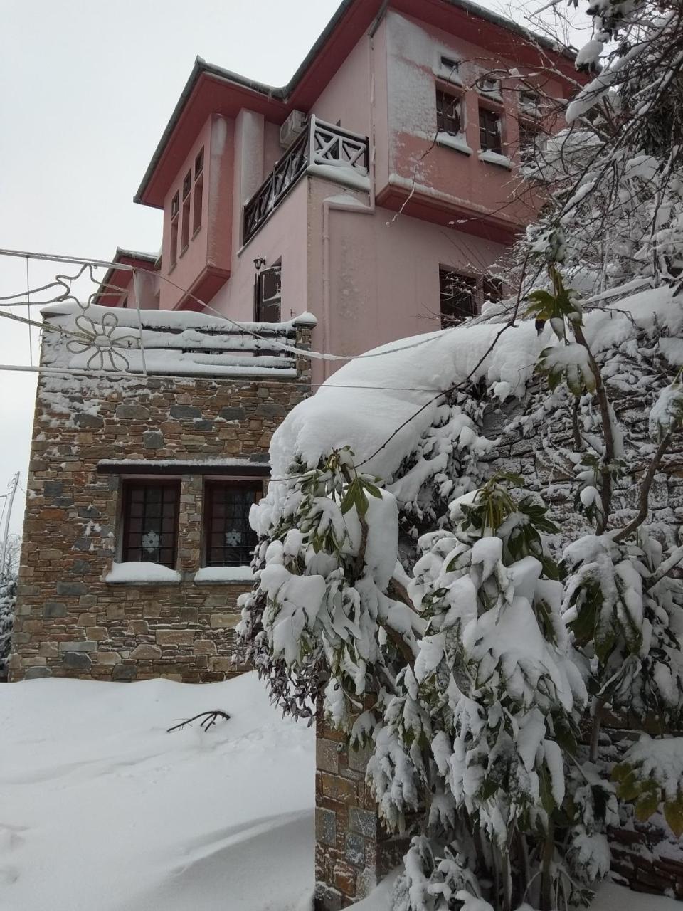 Guesthouse Iris Tsagarada Bagian luar foto